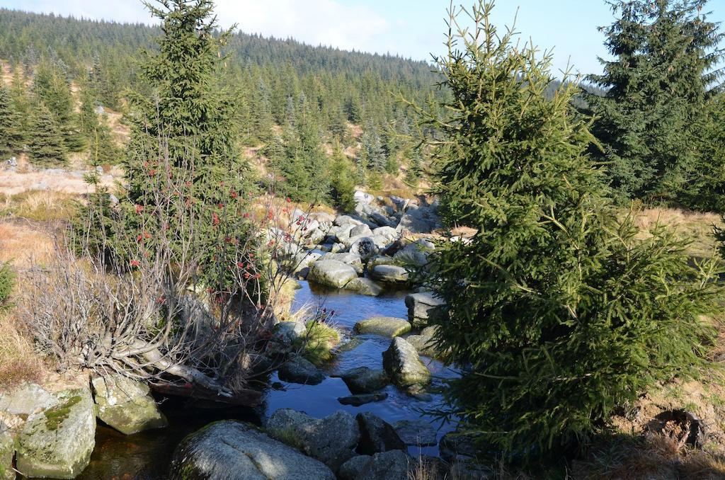 Penzion Vital Liberec Oda fotoğraf